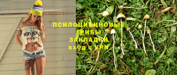 шишки Абинск