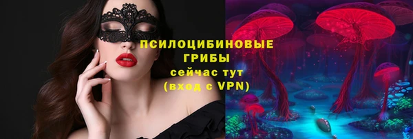 шишки Абинск