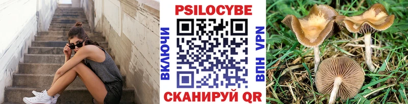 Псилоцибиновые грибы GOLDEN TEACHER Починок